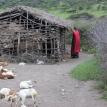 Maasai 4