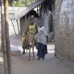 Man, Boy, Donkey - The Island of Lamu